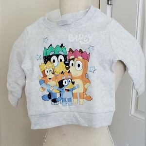 Bluey Christmas Sweater Size 12M Nwt